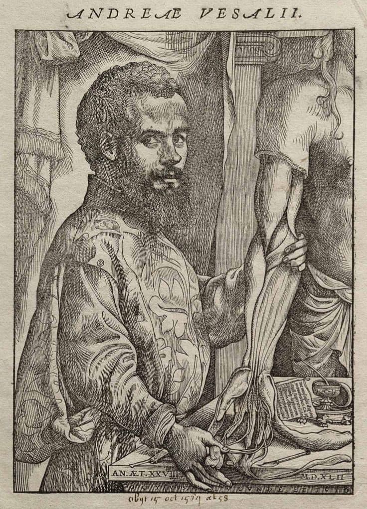 Woodcut portrait of Andreas Vesalius dissecting a forearm, from De humani corporis fabrica (1543)